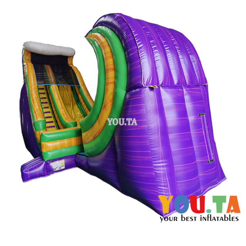 Inflatable Obstacle Course